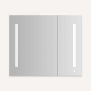 Robern AiO Mirror Cabinet