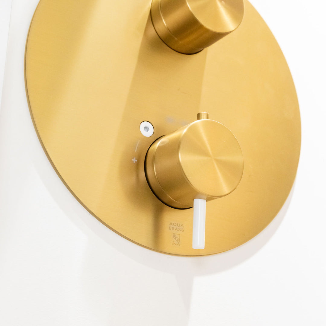 Aquabrass Shower System