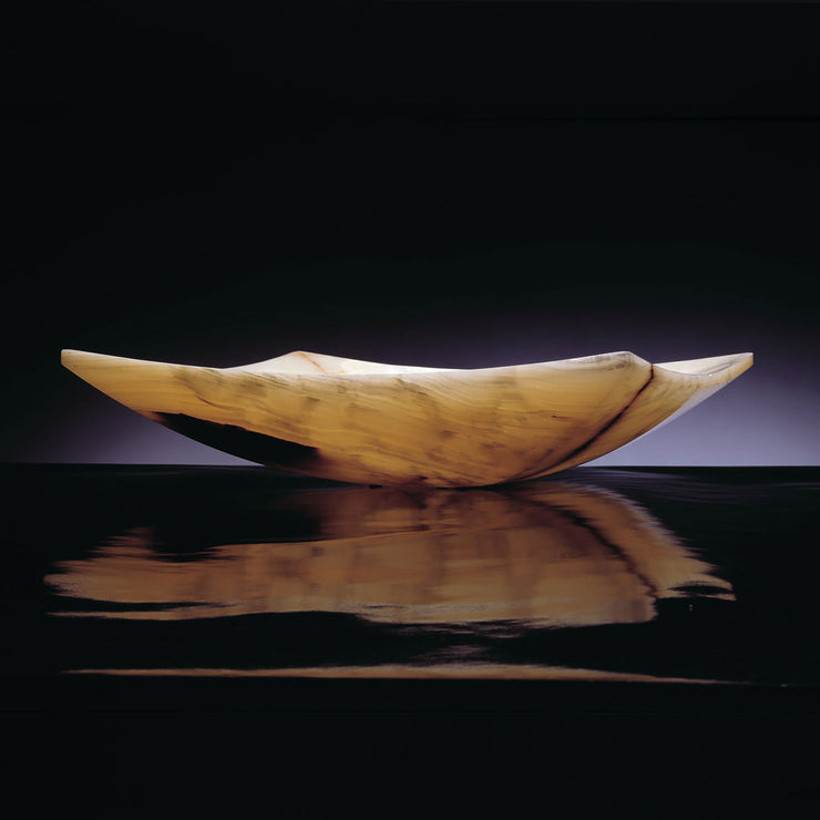 Stone Forest Slice Vessel Sink