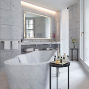 Dornbracht Tara Tub Filler with Hand Shower