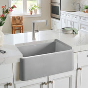 Blanco Ikon Single Bowl Kitchen Sink