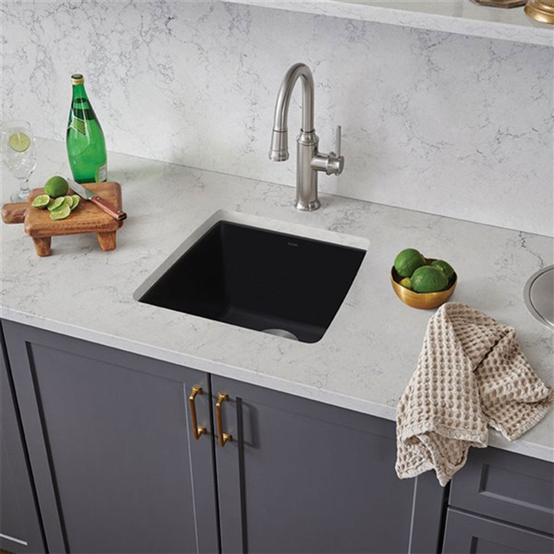 Blanco Performa Bar Kitchen Sink