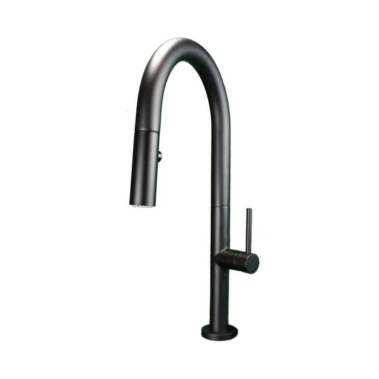 Cavalli Syrah Pull-Out Dual Spray Kitchen Faucet