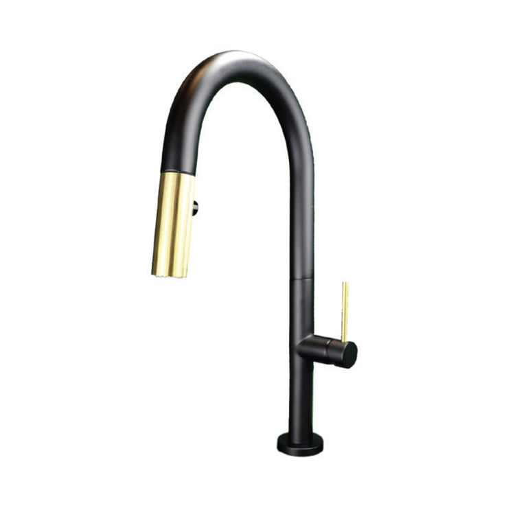 Cavalli Syrah Pull-Out Dual Spray Kitchen Faucet