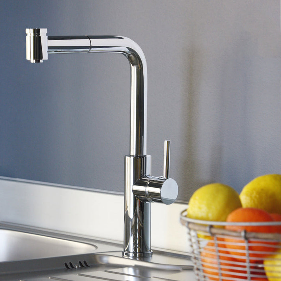 Disegno Milo D2-51 Kitchen Faucet