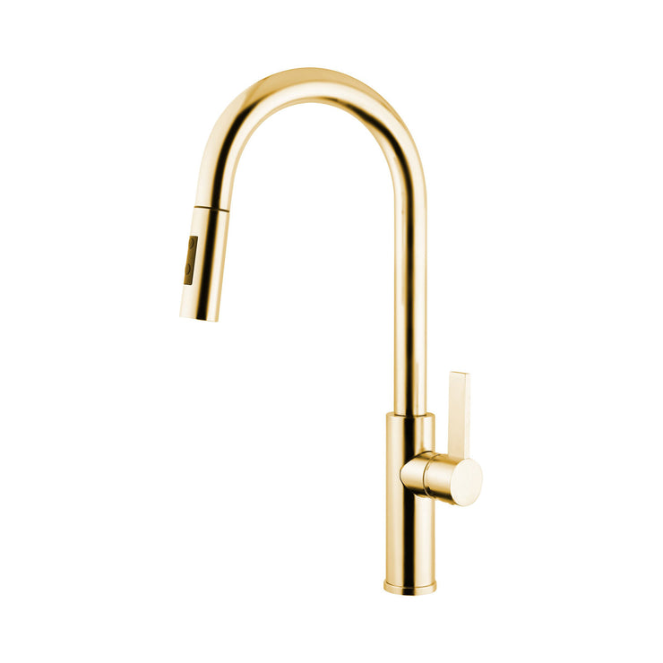 Disegno Mitu D30P-51 Kitchen Faucet Brushed Gold