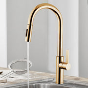 Disegno Mitu D30P-51 Kitchen Faucet Brushed Gold