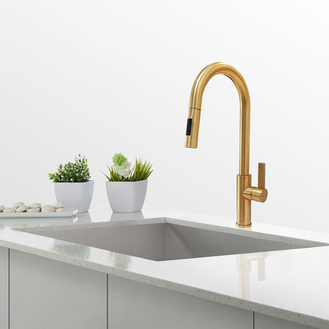 Disegno Mitu D30P-51 Kitchen Faucet Brushed Gold