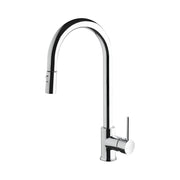 Newform Real Dual Spray Kitchen Faucet