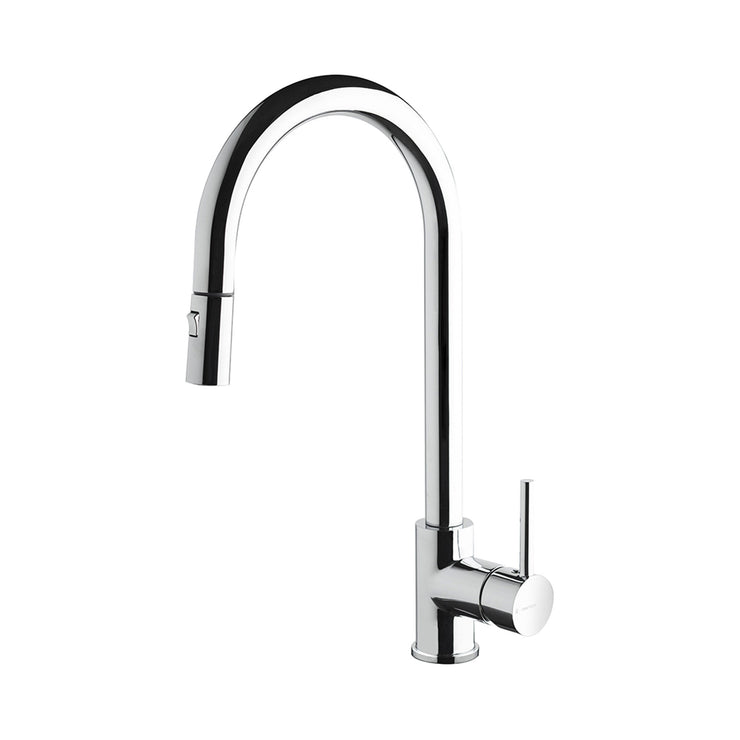 Newform Real Dual Spray Kitchen Faucet