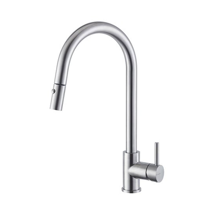 Newform Real Dual Spray Kitchen Faucet