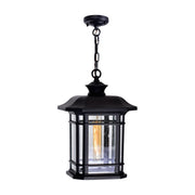CWI Lighting Blackbridge 1-Light Outdoor Pendant