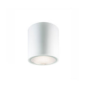 Eurofase Cask Ceiling Mount Light