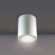 Eurofase Cask Ceiling Mount Light