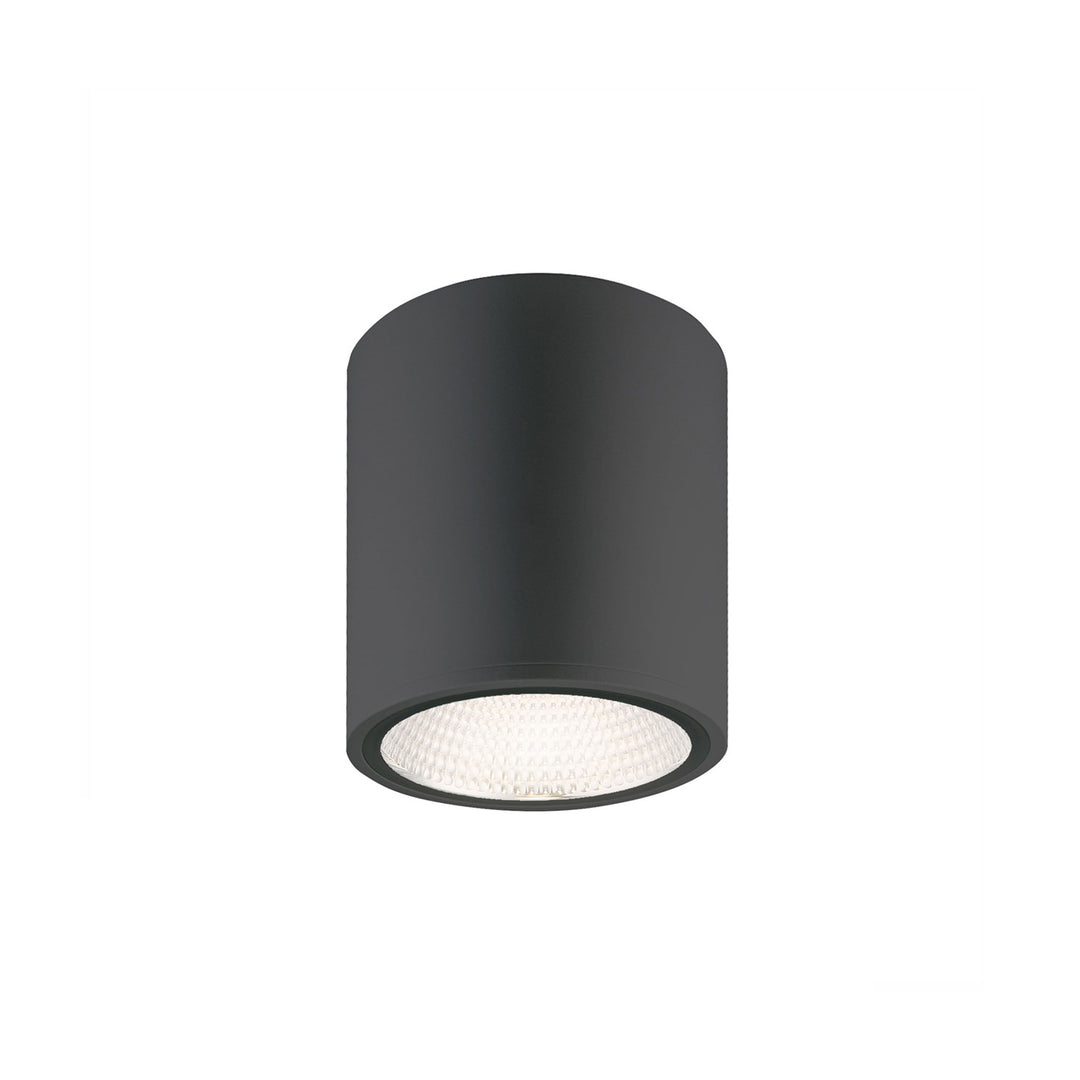 Eurofase Cask Ceiling Mount Light