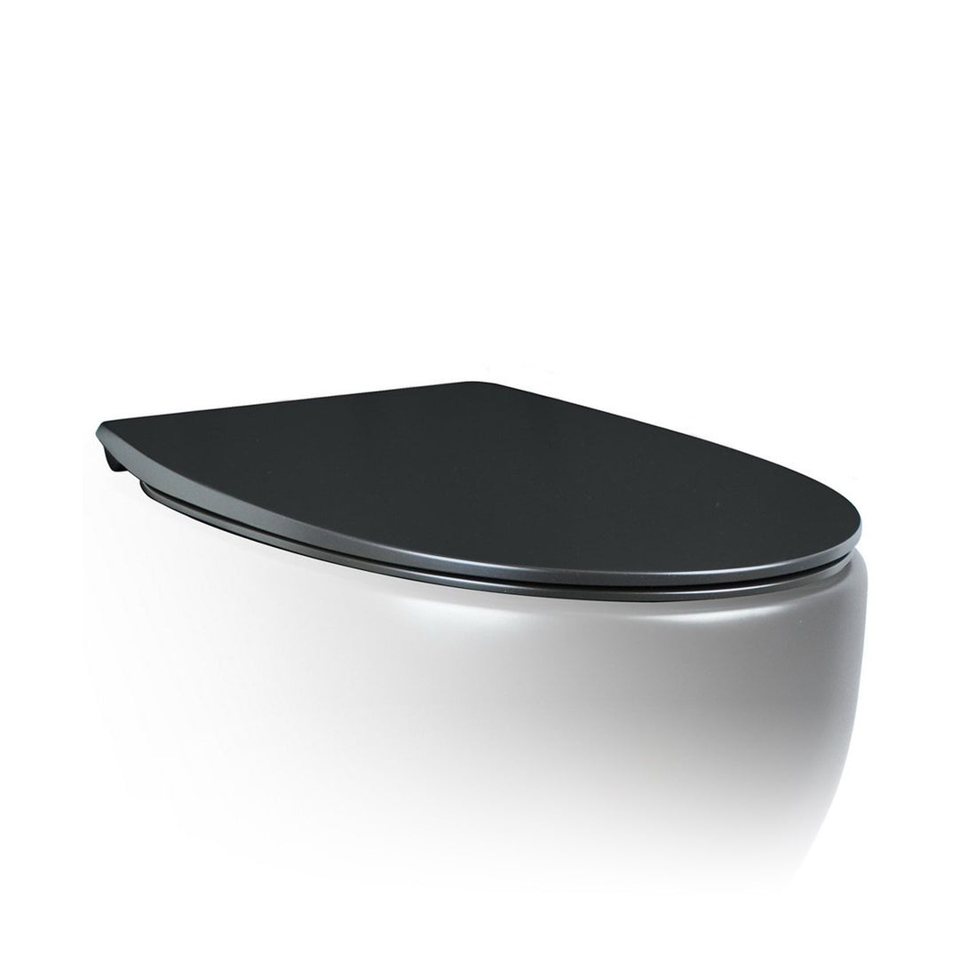 AeT Dot 2 Prencess Wallhung Toilet Matte Black