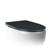AeT Dot 2 Prencess Wallhung Toilet Matte Black