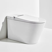 AXENT.ONE C Plus Toilet