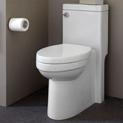 DXV Cossu One-Piece Elongated Toilet