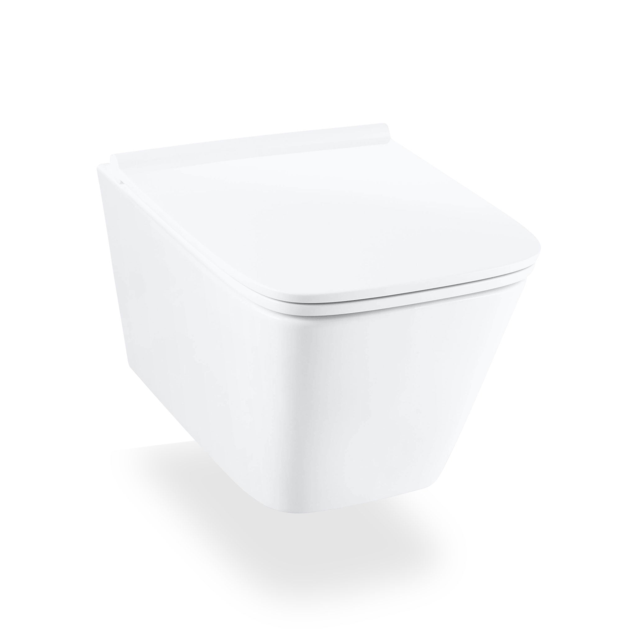 DXV Modulus Wall-Mounted Elongated Toilet – Canaroma Bath & Tile