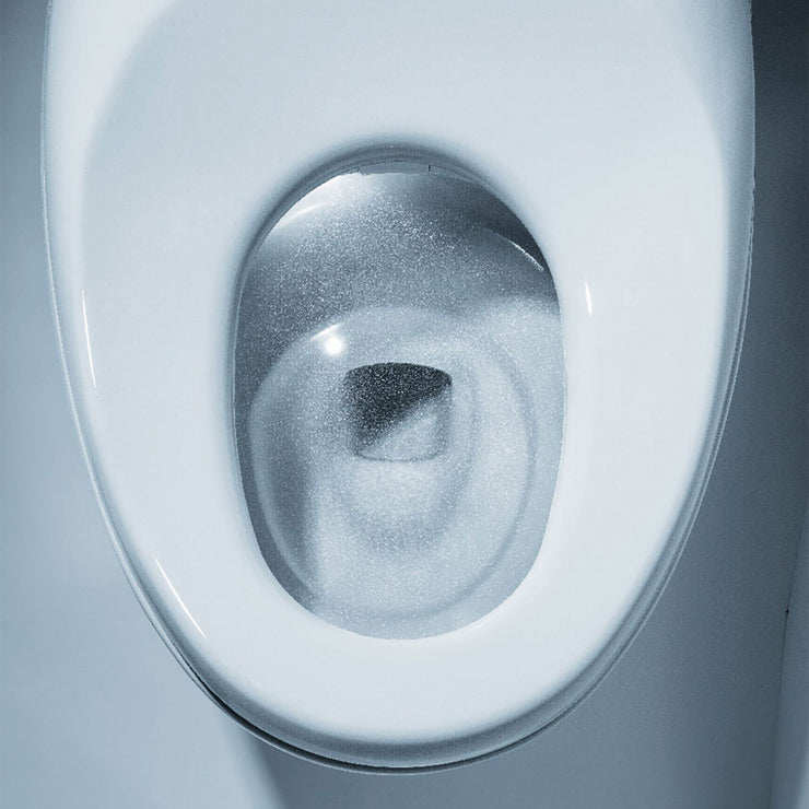 TOTO Neorest NX1 Dual Flush Toilet