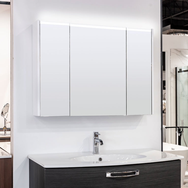 Baden Haus Bathroom Mirror with Medicine Cabinet