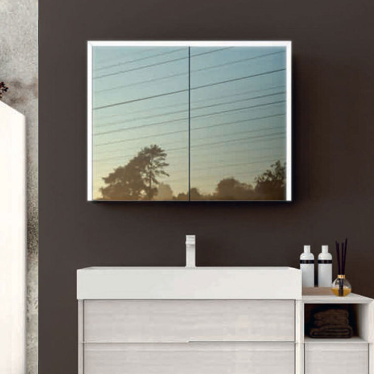 Baden Haus Bathroom LED Mirror with Medicine Cabinet