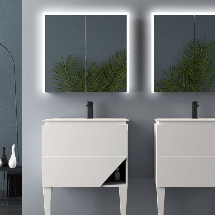 Baden Haus Bathroom LED Mirror with Medicine Cabinet