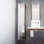 Vanico Mirror & Medicine Cabinet Mini Chic